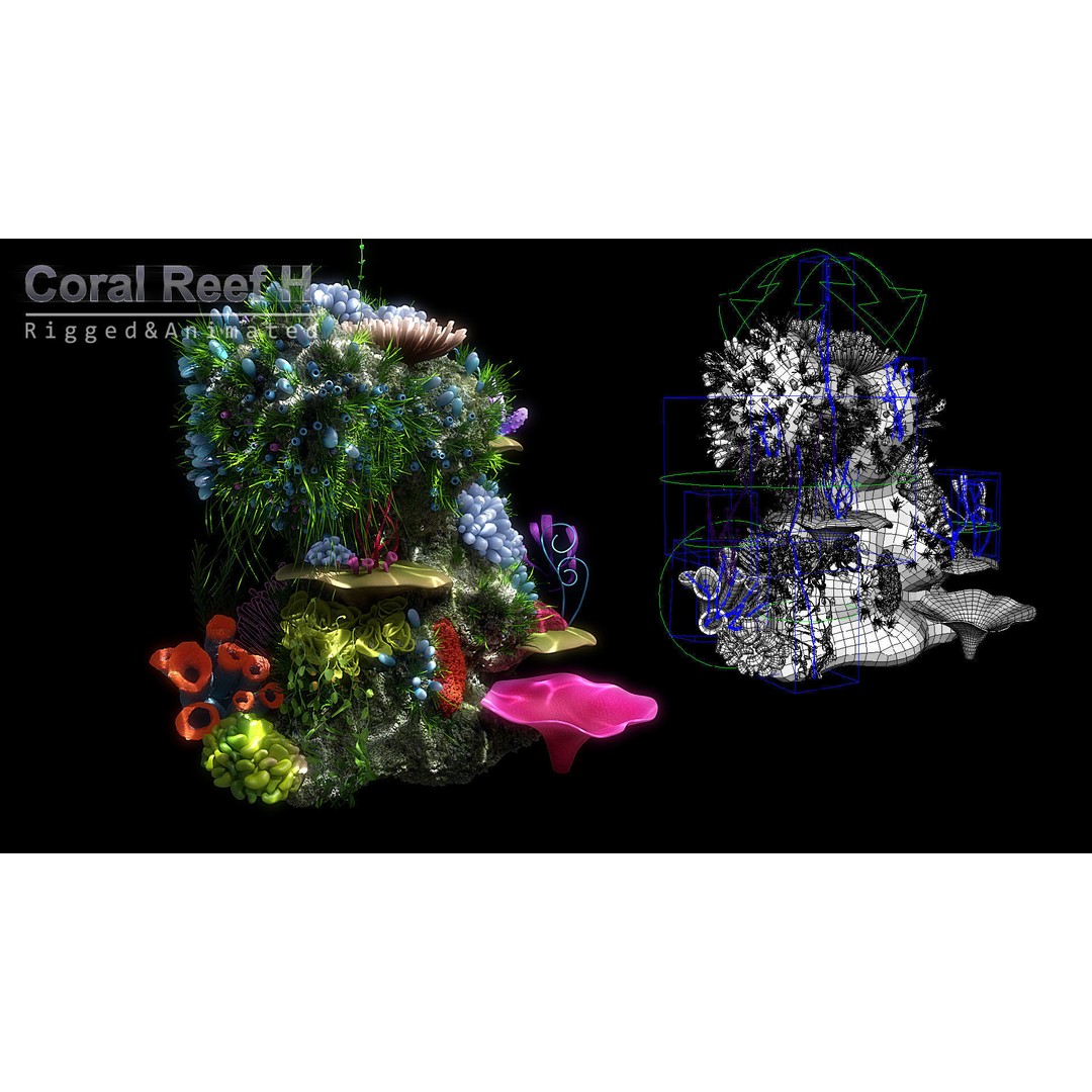 Cartoon Underwater Scene 3D Model – Rigged Animated Environment, Blender - View 12