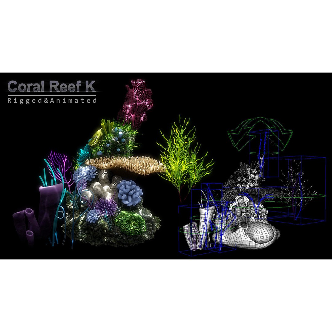 Cartoon Underwater Scene 3D Model – Rigged Animated Environment, Blender - View 16