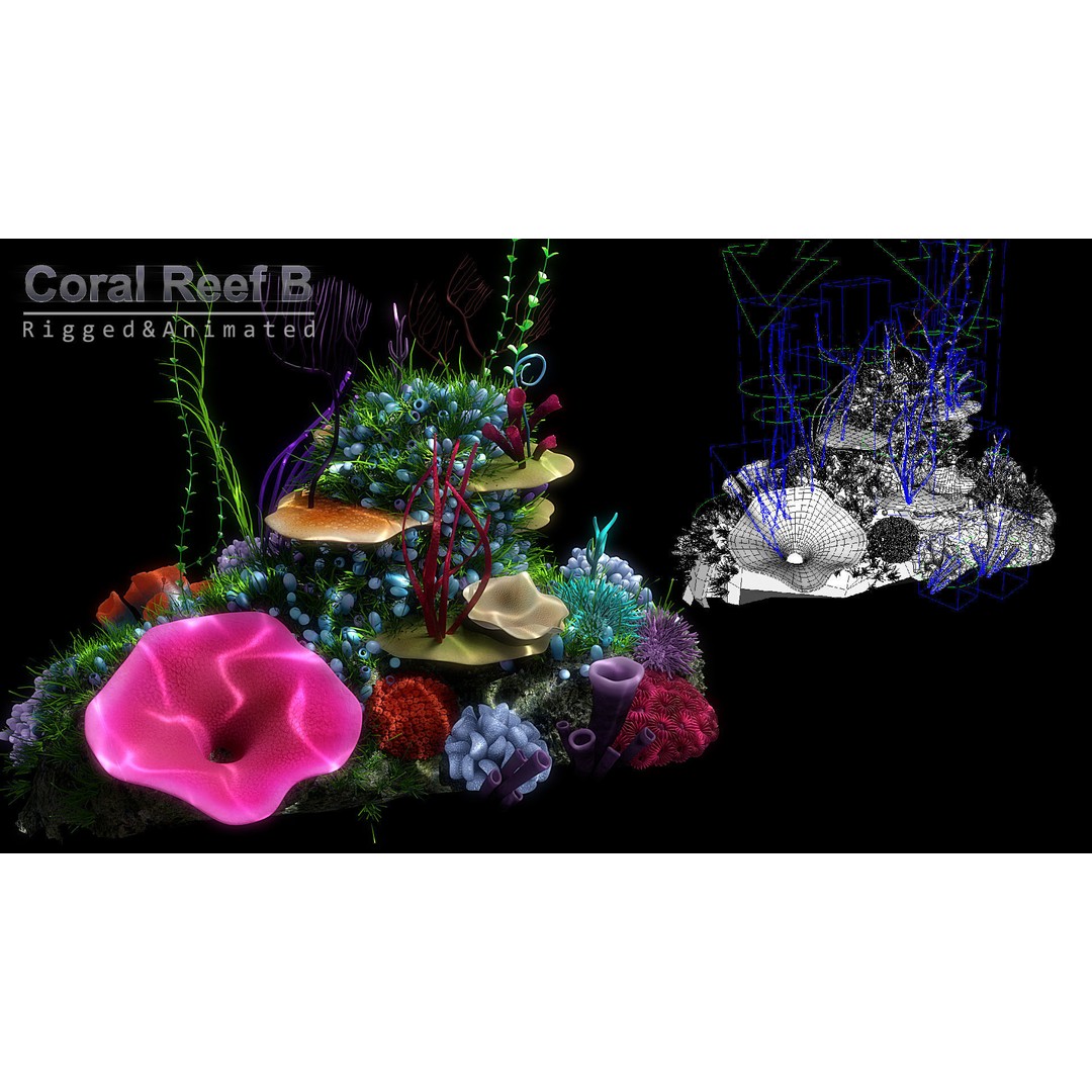 Cartoon Underwater Scene 3D Model – Rigged Animated Environment, Blender - View 7