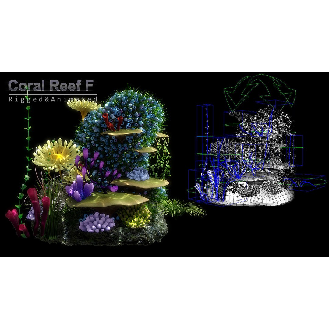 Cartoon Underwater Scene 3D Model – Rigged Animated Environment, Blender - View 9