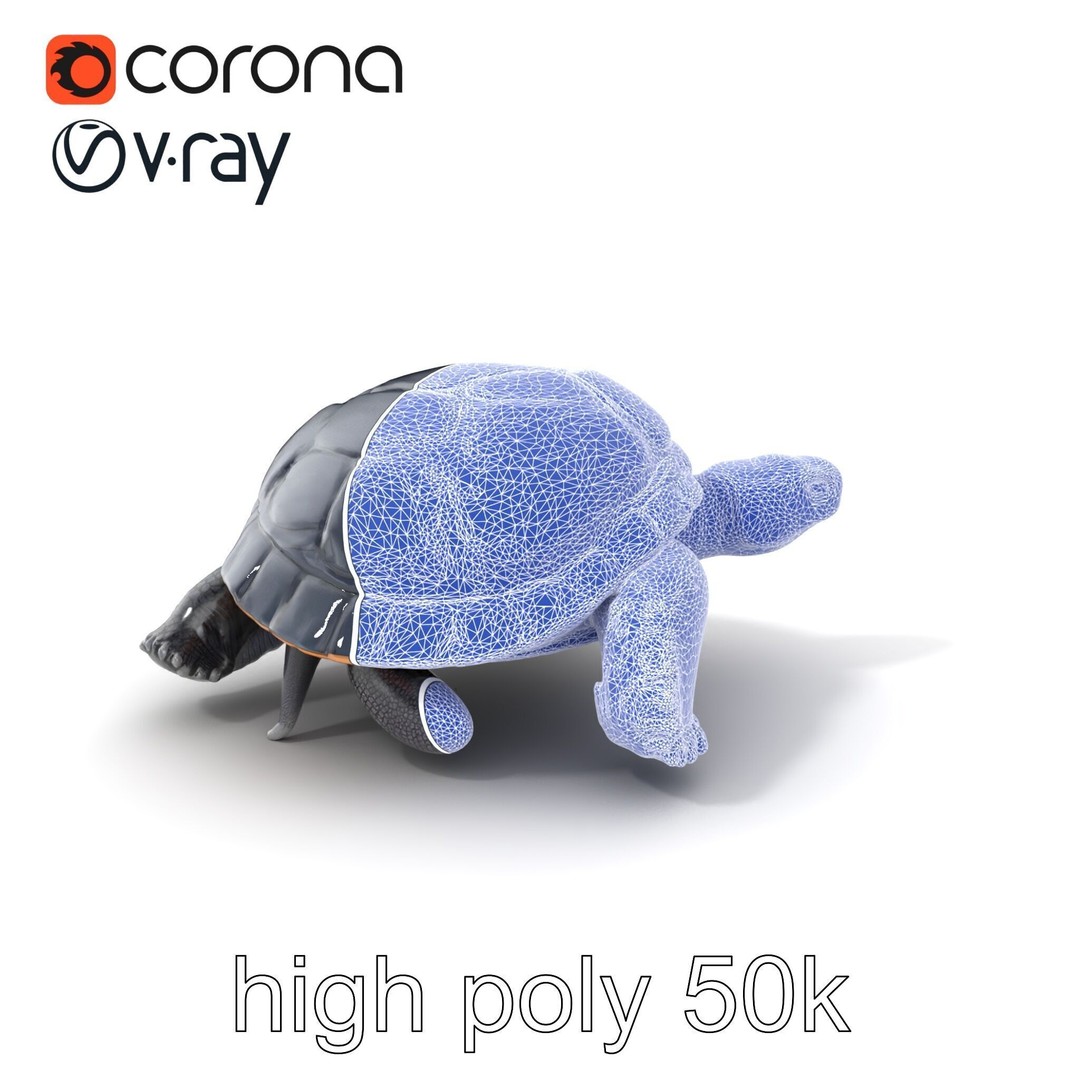 Leatherback Turtle 3D Model – Low Poly PBR Game Asset, FBX - View 11