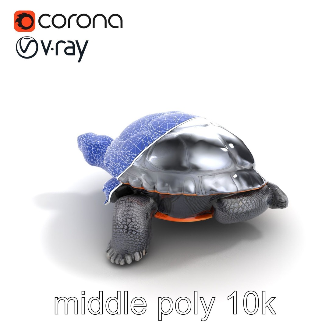 Leatherback Turtle 3D Model – Low Poly PBR Game Asset, FBX - View 12