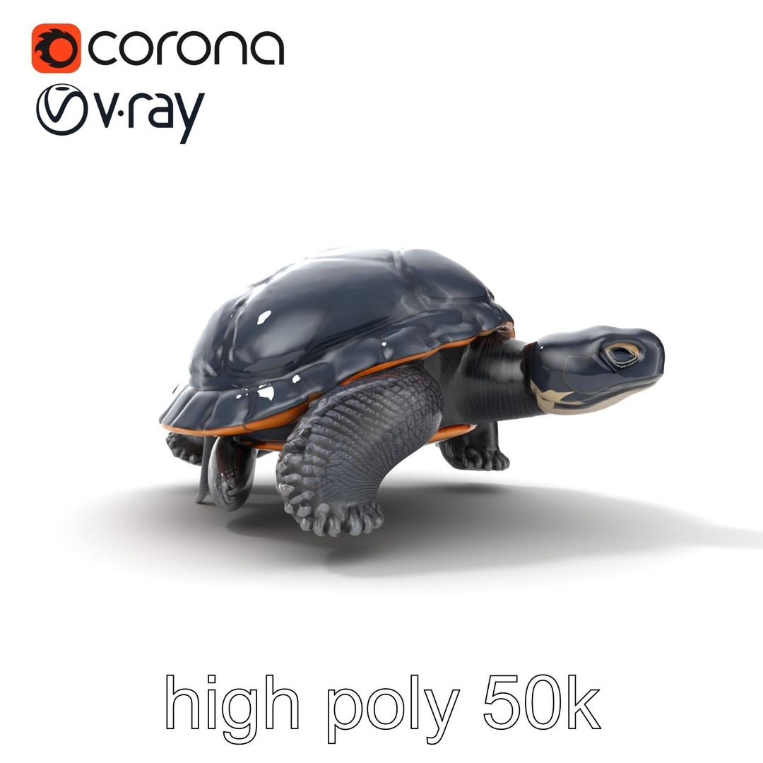 Leatherback Turtle 3D Model – Low Poly PBR Game Asset, FBX - View 14