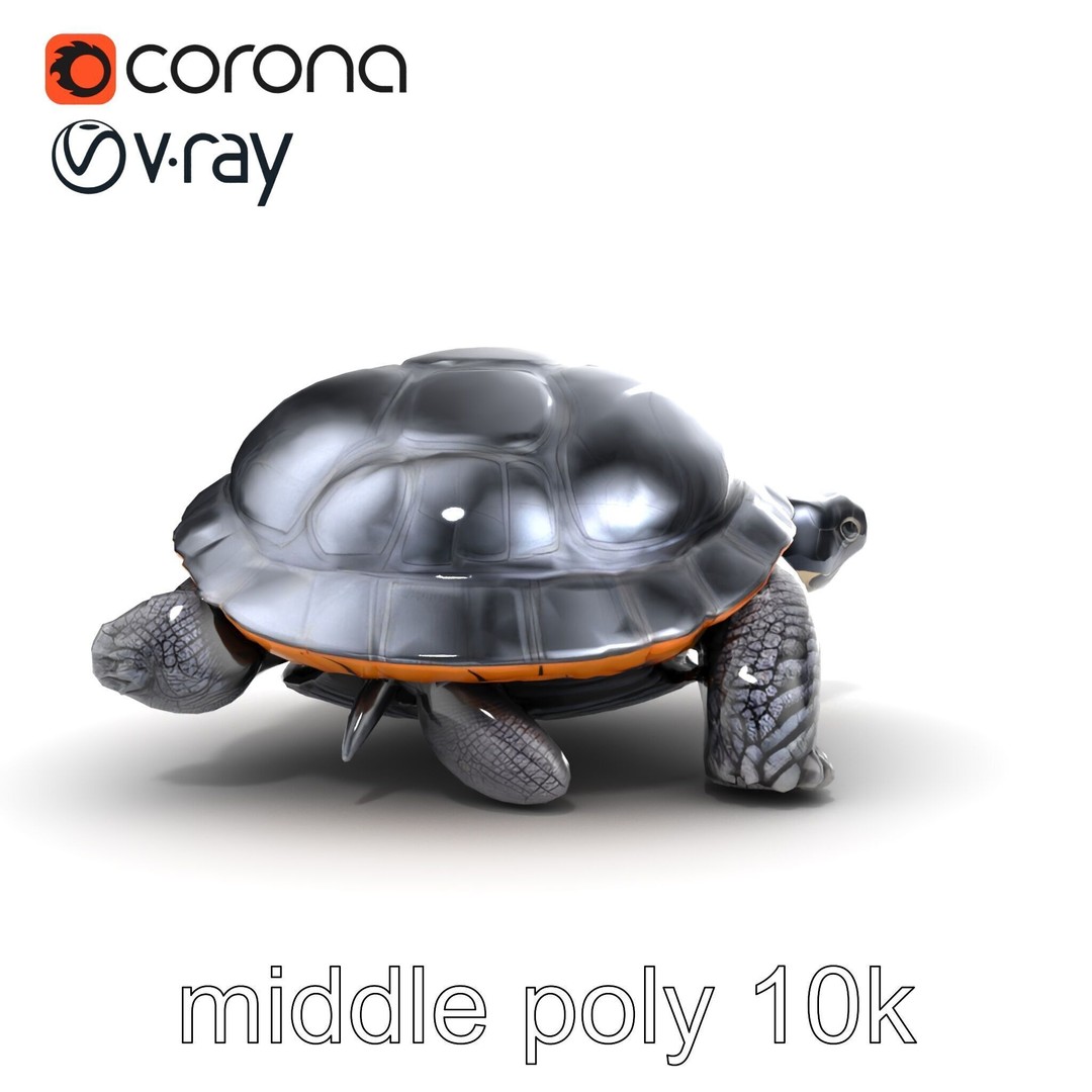 Leatherback Turtle 3D Model – Low Poly PBR Game Asset, FBX - View 16