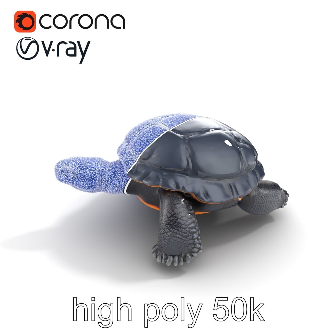Leatherback Turtle 3D Model – Low Poly PBR Game Asset, FBX - View 18