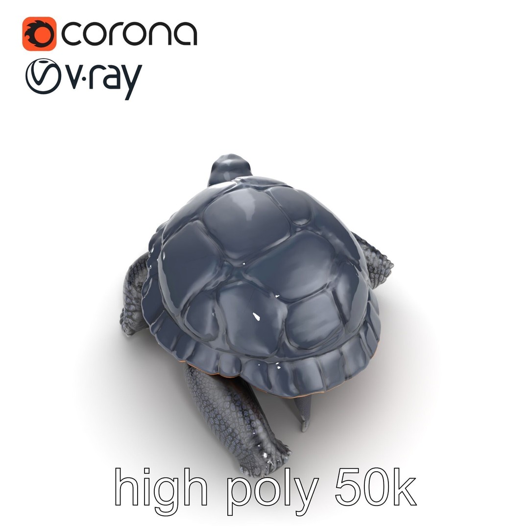 Leatherback Turtle 3D Model – Low Poly PBR Game Asset, FBX - View 20