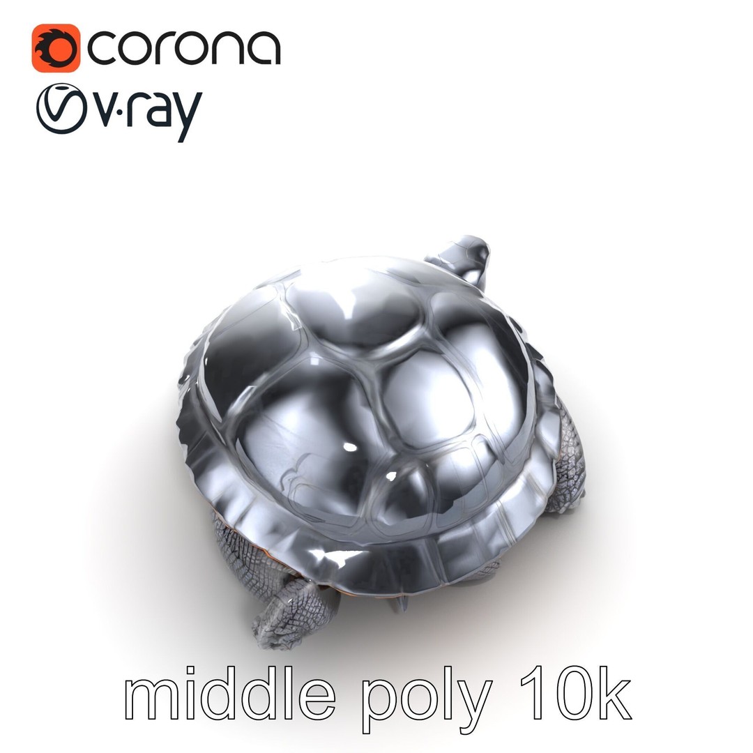 Leatherback Turtle 3D Model – Low Poly PBR Game Asset, FBX - View 21