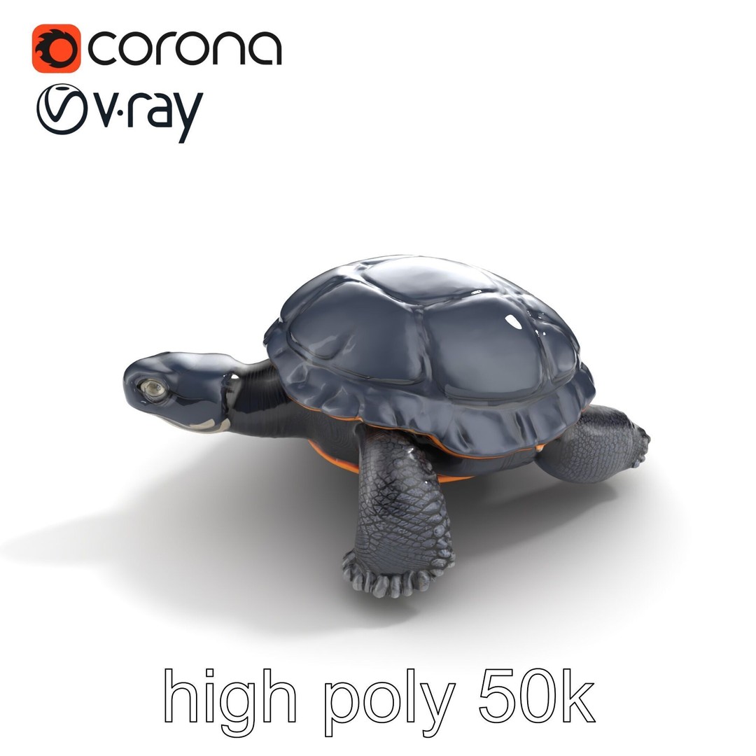Leatherback Turtle 3D Model – Low Poly PBR Game Asset, FBX - View 22