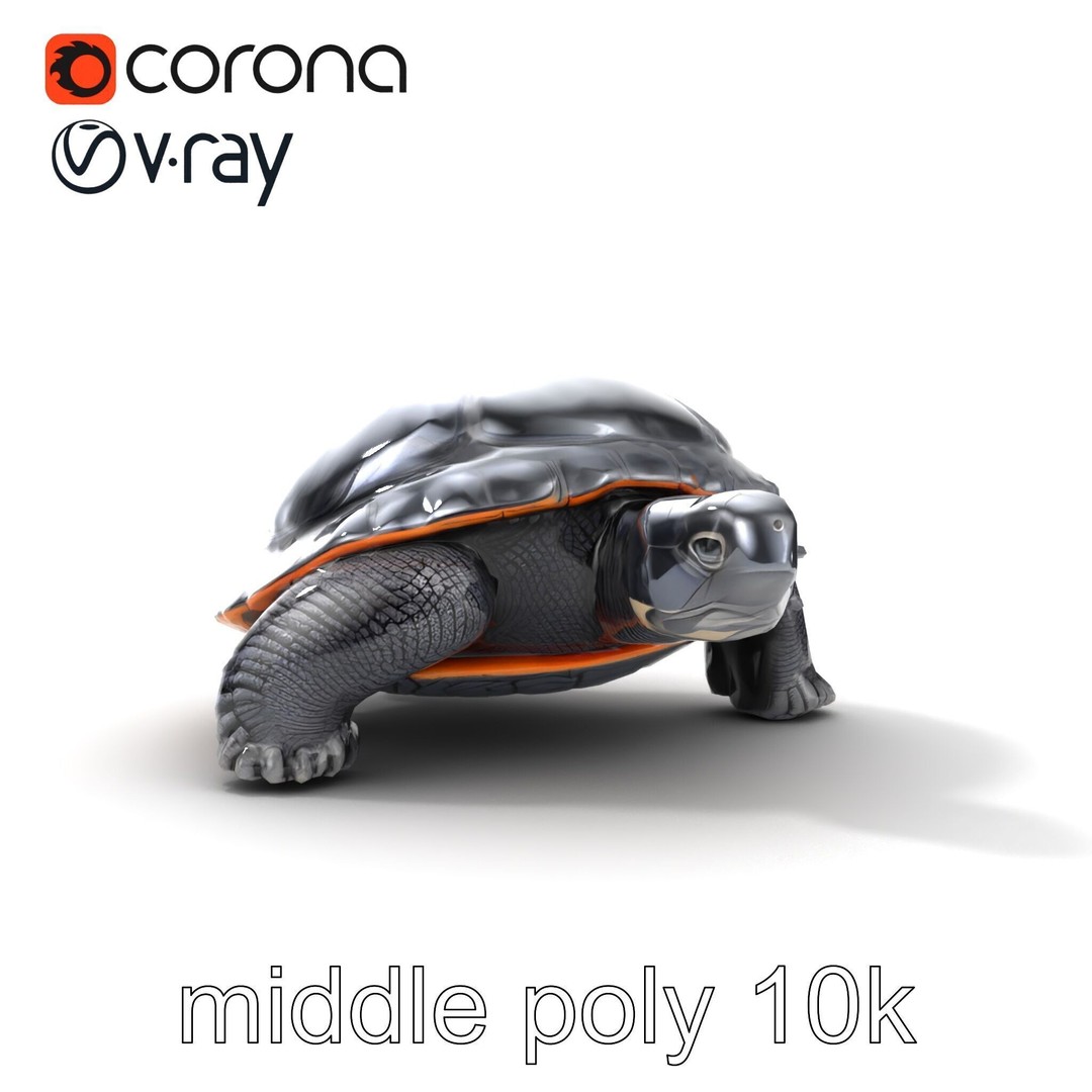 Leatherback Turtle 3D Model – Low Poly PBR Game Asset, FBX - View 24