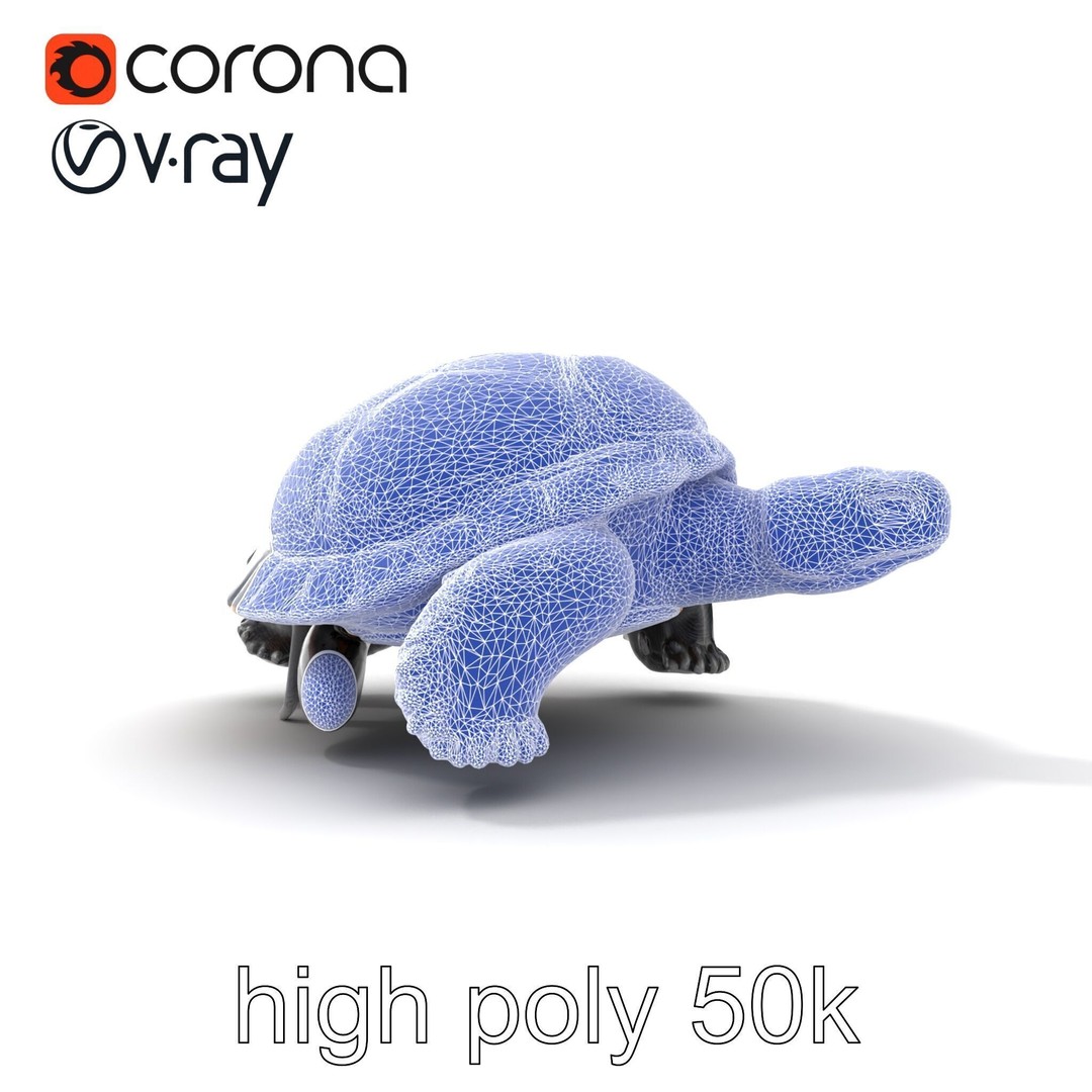 Leatherback Turtle 3D Model – Low Poly PBR Game Asset, FBX - View 25