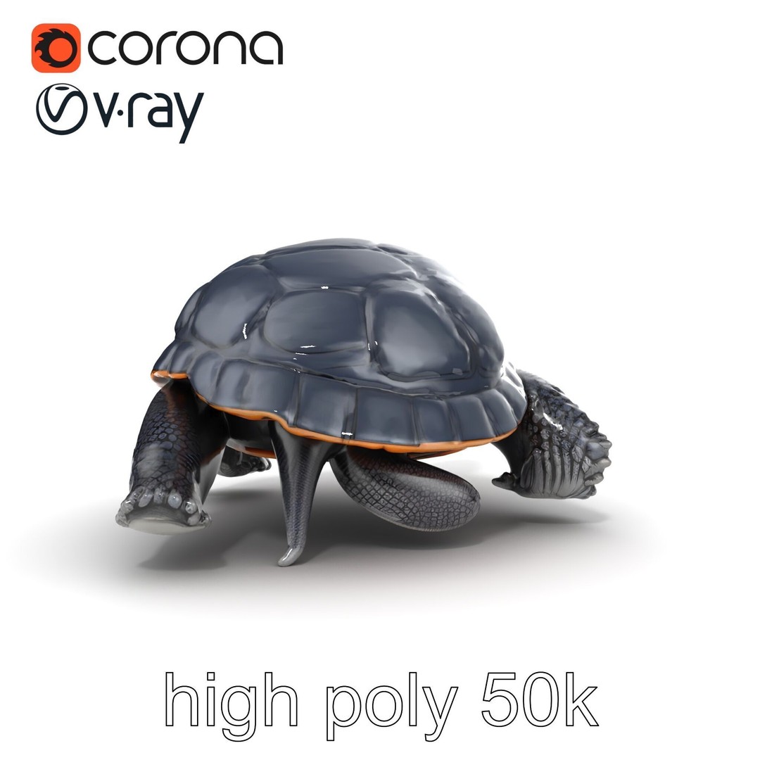 Leatherback Turtle 3D Model – Low Poly PBR Game Asset, FBX - View 27