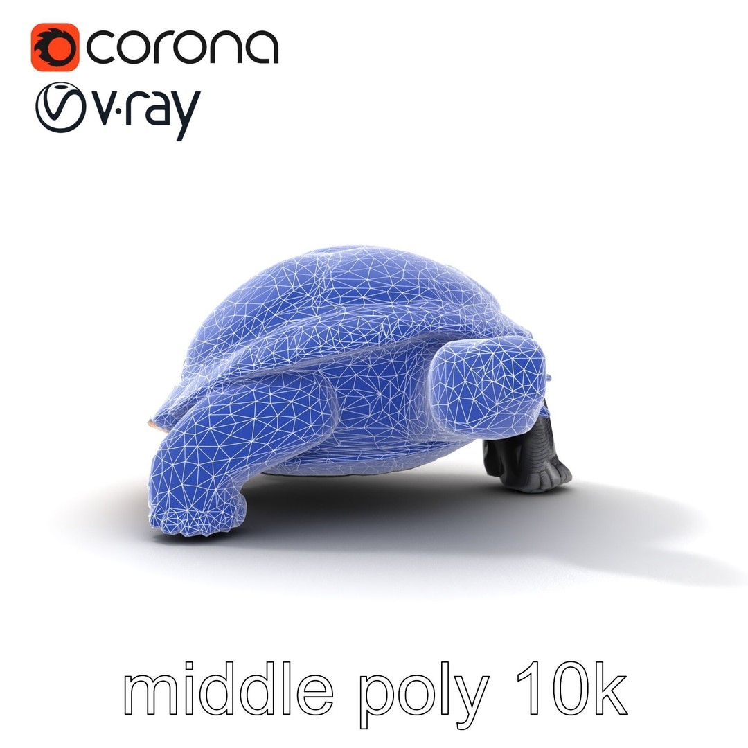 Leatherback Turtle 3D Model – Low Poly PBR Game Asset, FBX - View 28