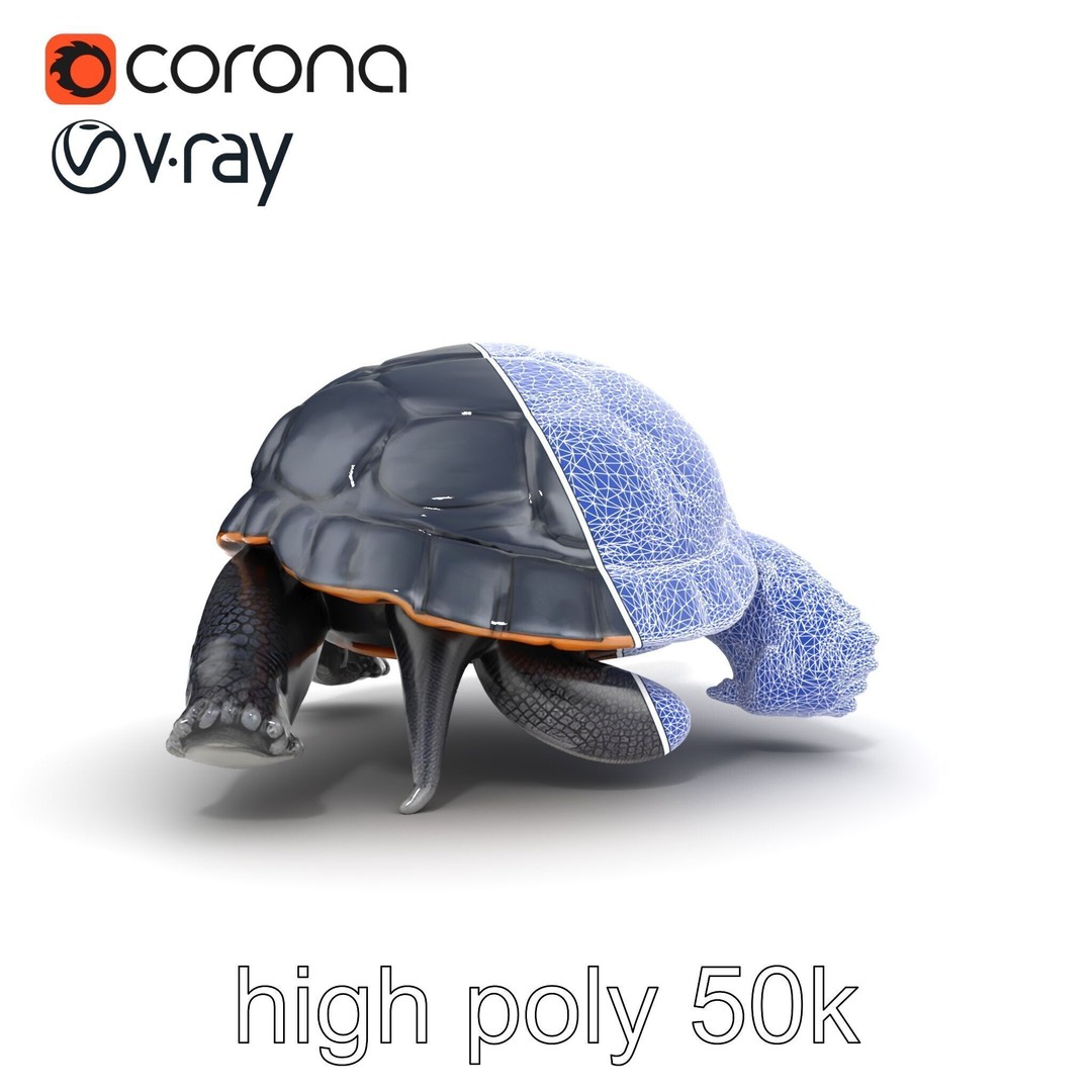 Leatherback Turtle 3D Model – Low Poly PBR Game Asset, FBX - View 29