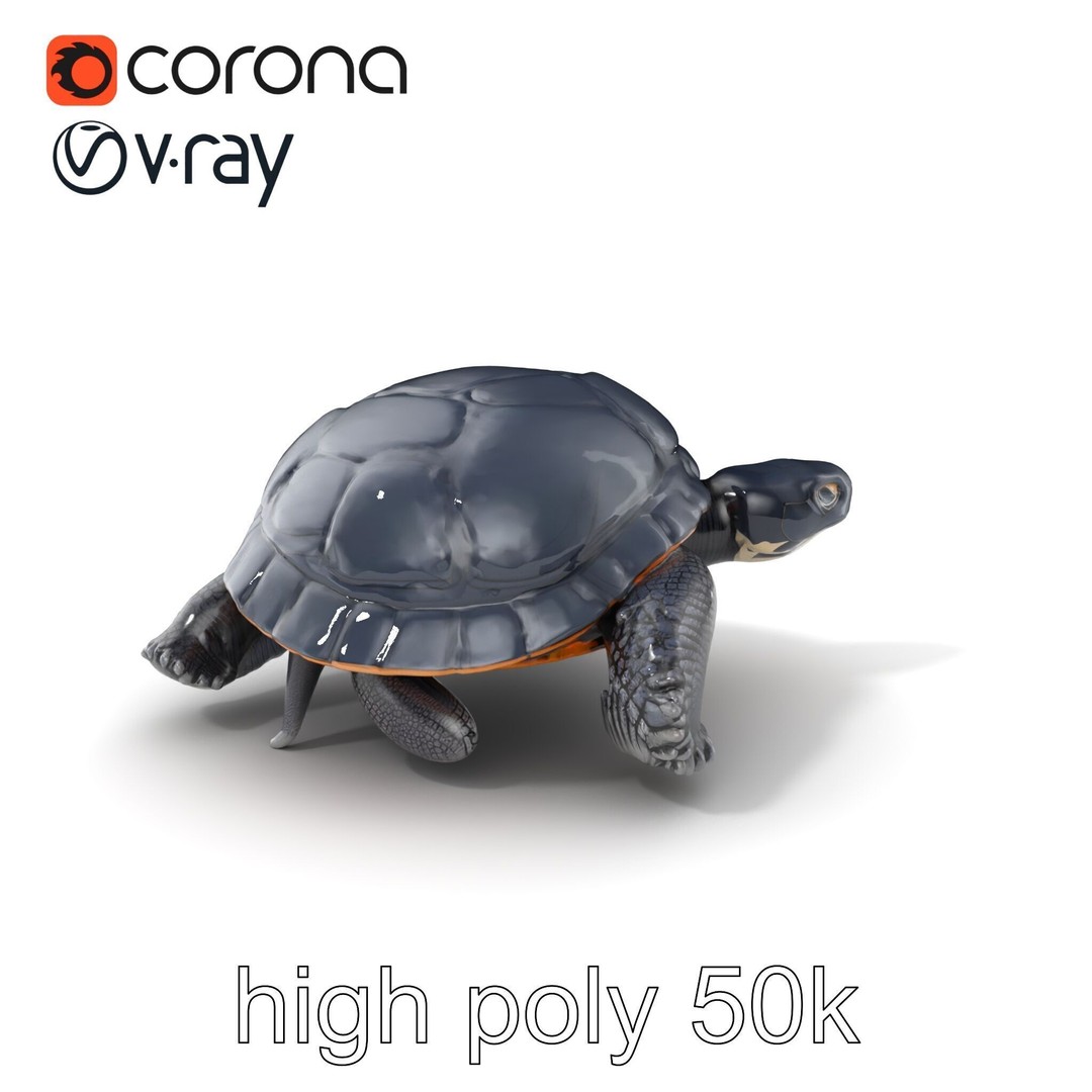 Leatherback Turtle 3D Model – Low Poly PBR Game Asset, FBX - View 3