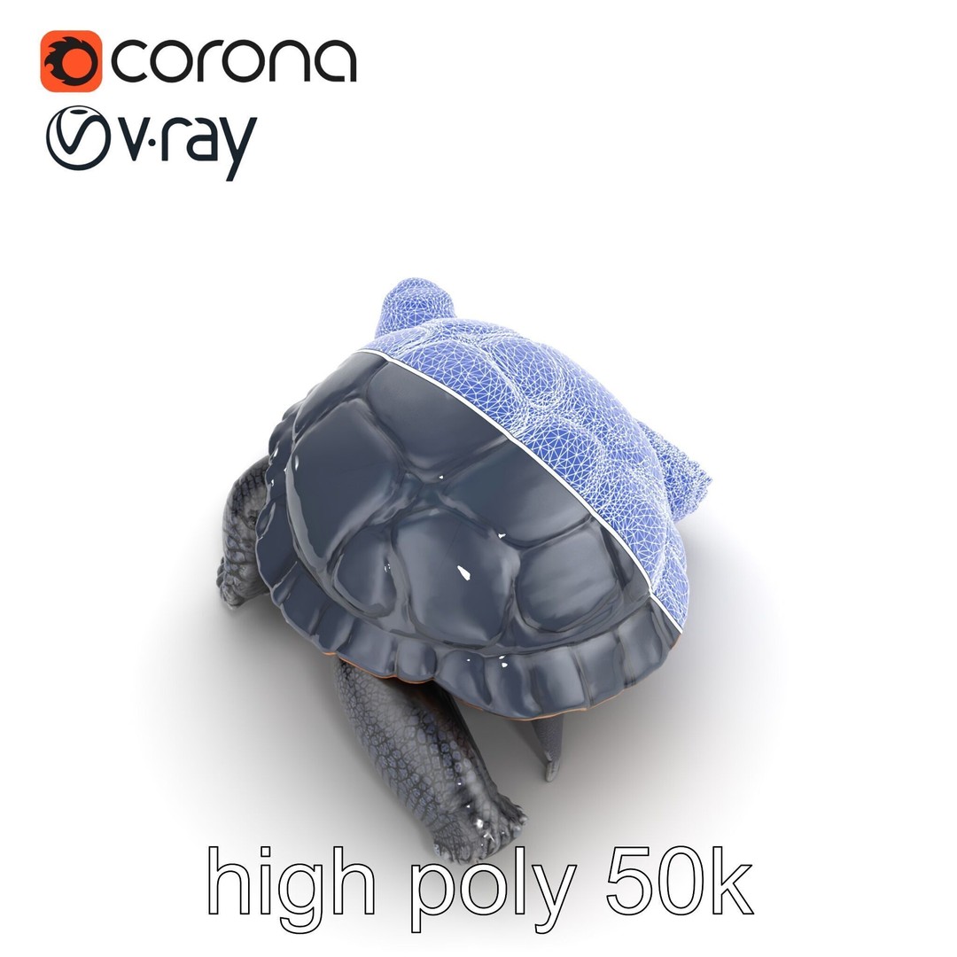 Leatherback Turtle 3D Model – Low Poly PBR Game Asset, FBX - View 32