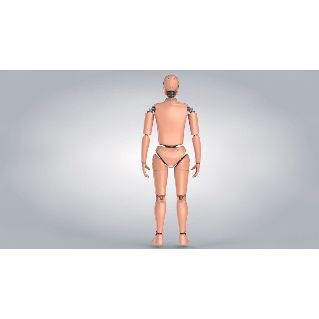 Female Crash Test Dummy 3D Model – Low Poly PBR Asset, FBX - View 10