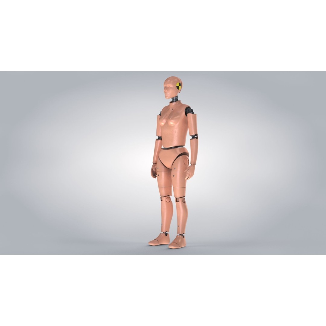 Female Crash Test Dummy 3D Model – Low Poly PBR Asset, FBX - View 5