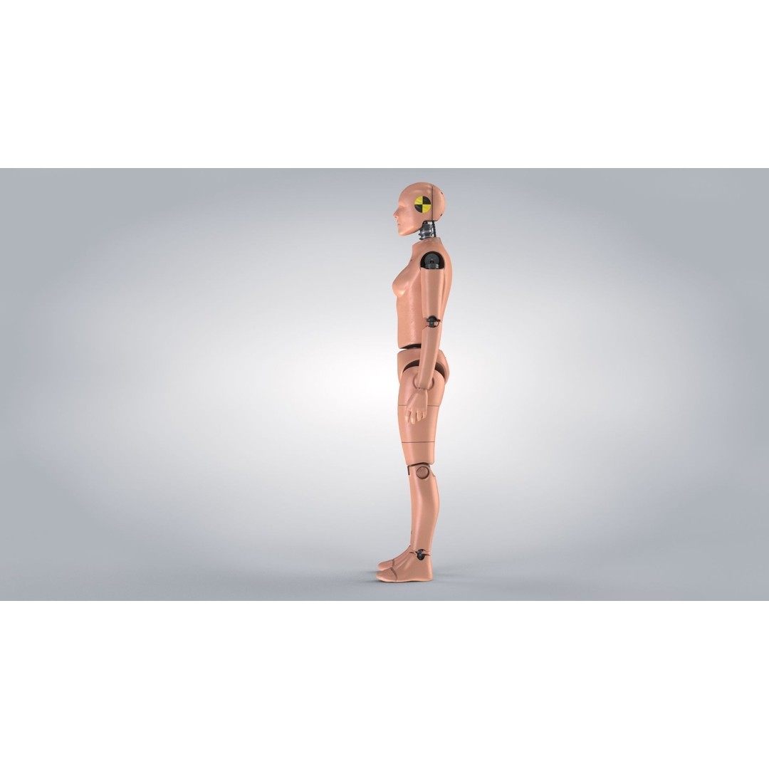 Female Crash Test Dummy 3D Model – Low Poly PBR Asset, FBX - View 8