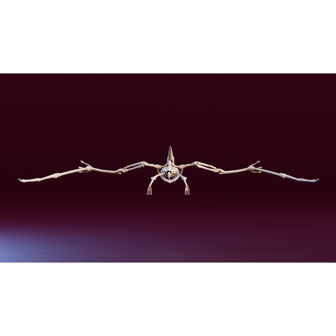 Pteranodon 3D Model – Realistic Low-Poly Dinosaur Fossil, FBX - View 6