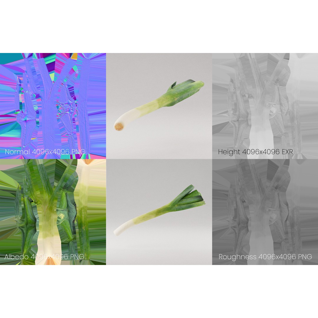 Realistic Leek 3D Model – Photogrammetry, PBR Textures, FBX, OBJ