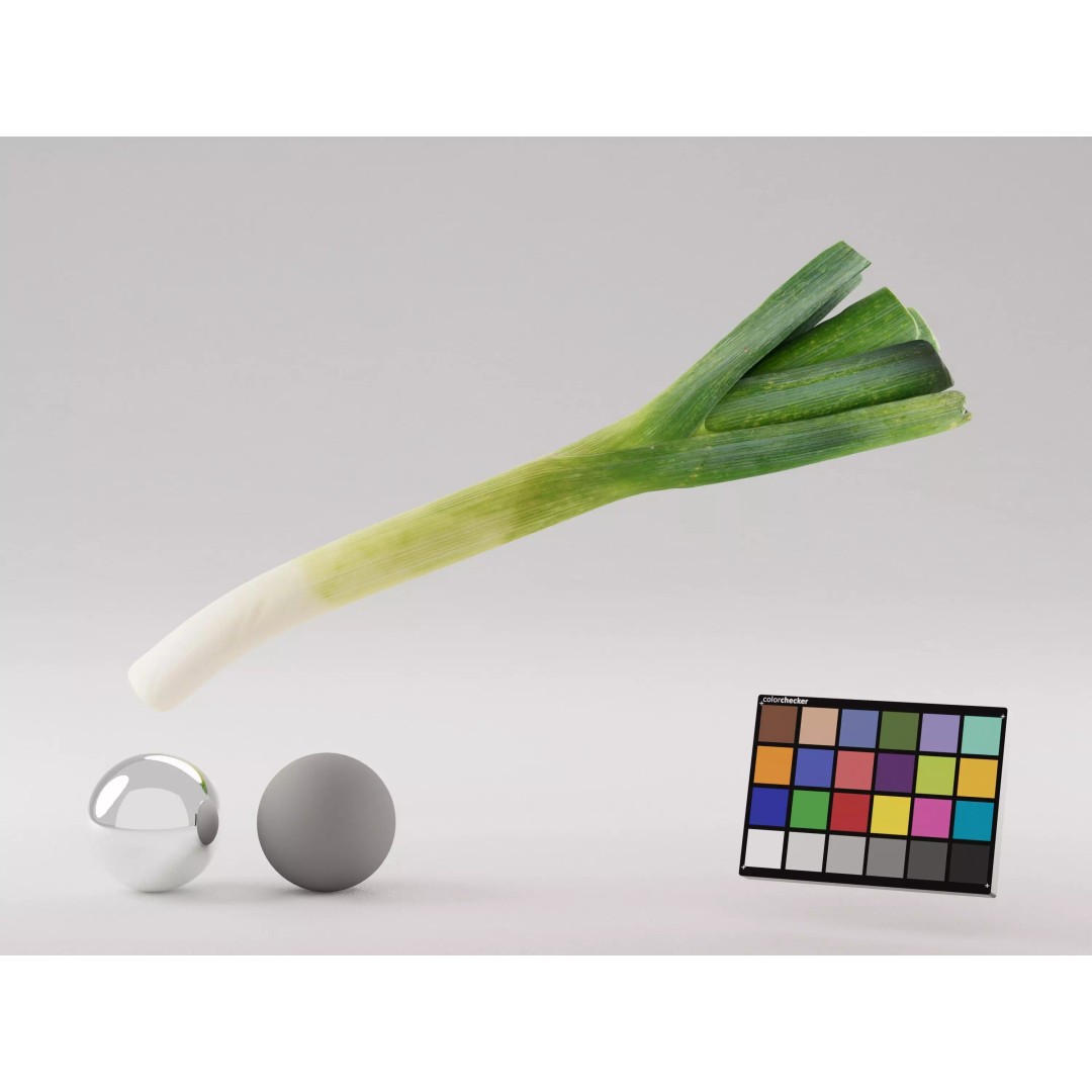 Realistic Leek 3D Model – Photogrammetry, PBR Textures, FBX, OBJ - View 2