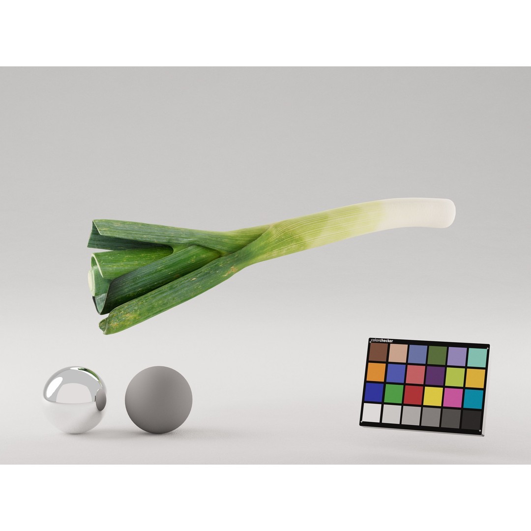 Realistic Leek 3D Model – Photogrammetry, PBR Textures, FBX, OBJ - View 3