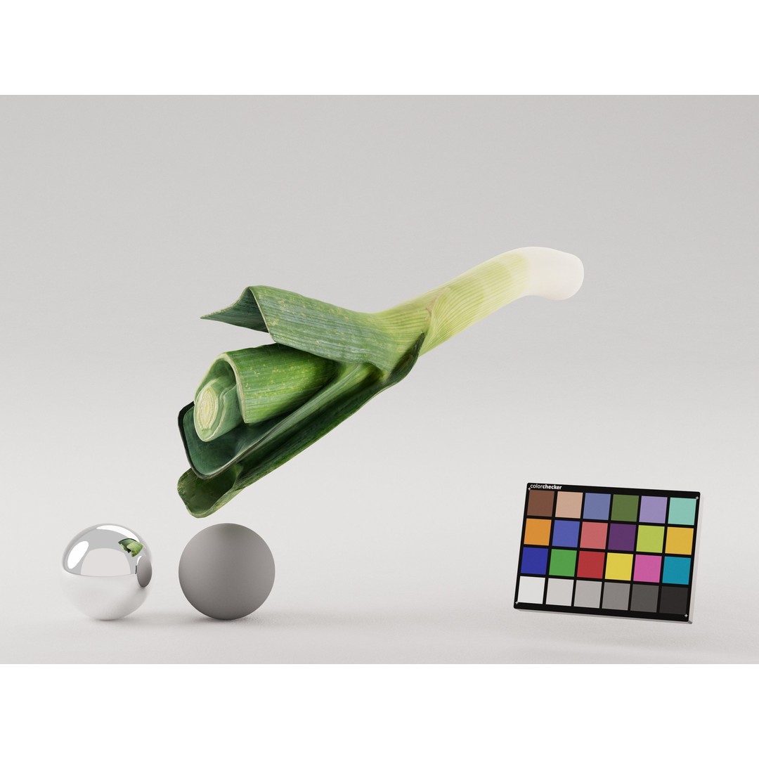 Realistic Leek 3D Model – Photogrammetry, PBR Textures, FBX, OBJ - View 4