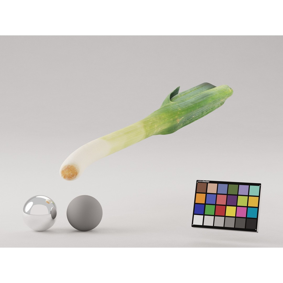 Realistic Leek 3D Model – Photogrammetry, PBR Textures, FBX, OBJ - View 5