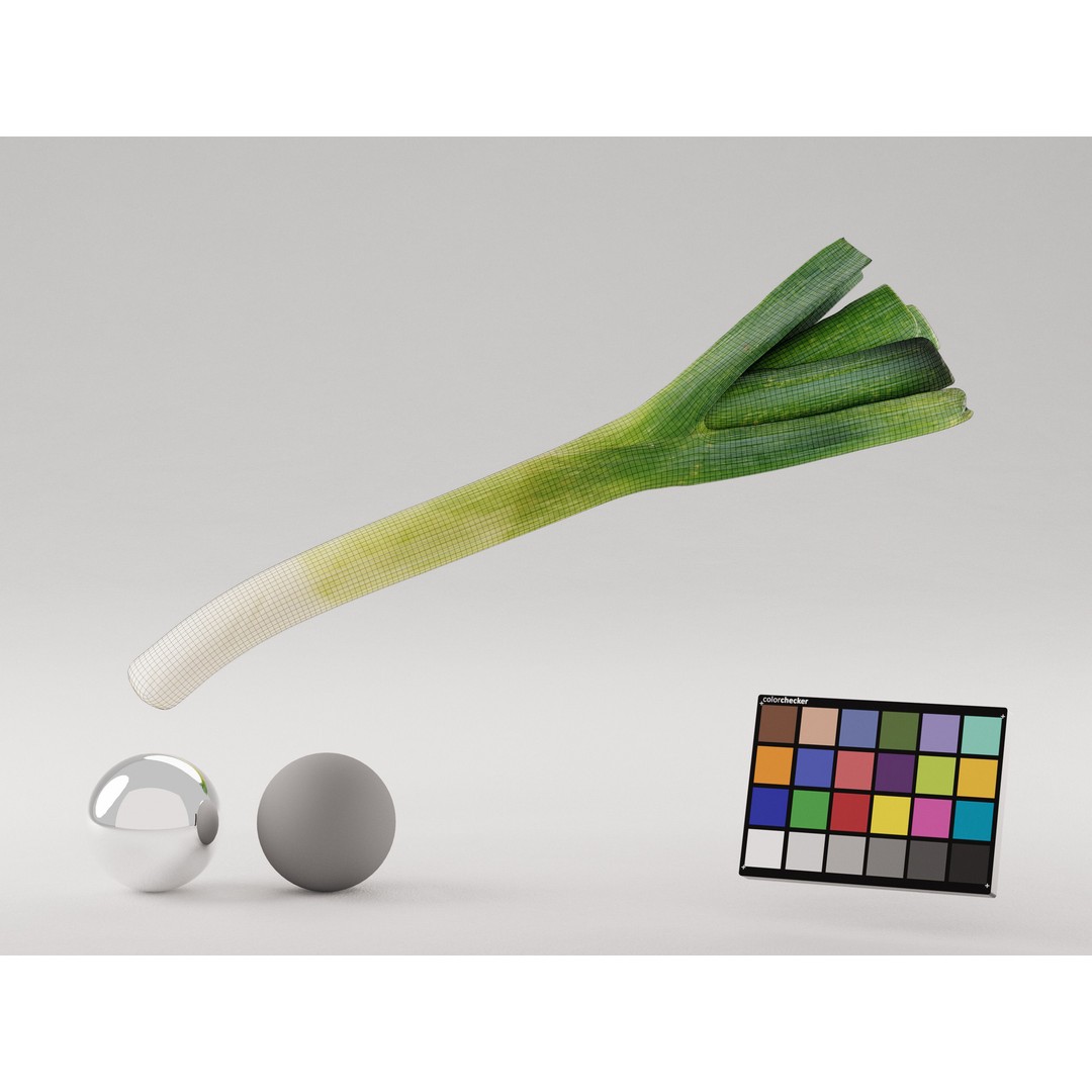 Realistic Leek 3D Model – Photogrammetry, PBR Textures, FBX, OBJ - View 6