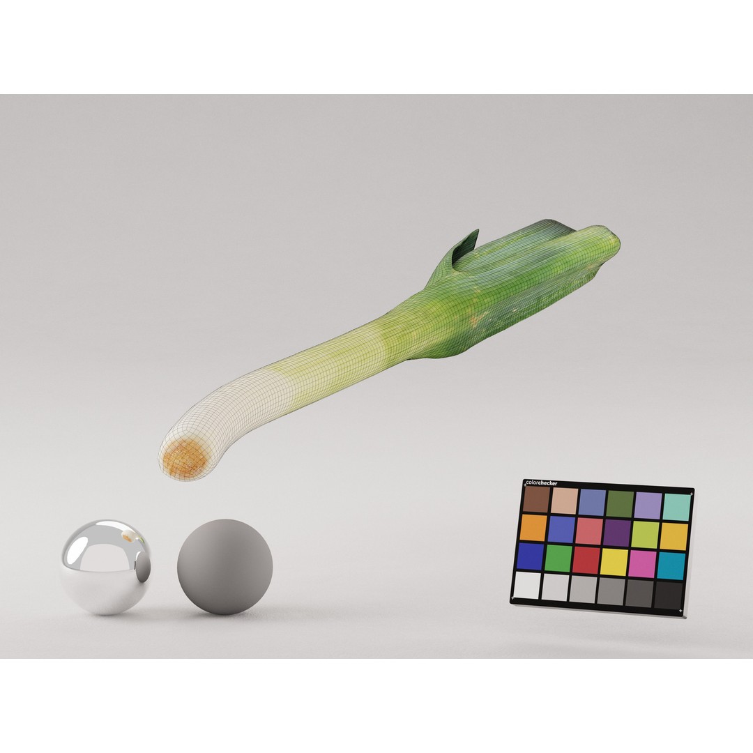 Realistic Leek 3D Model – Photogrammetry, PBR Textures, FBX, OBJ - View 7