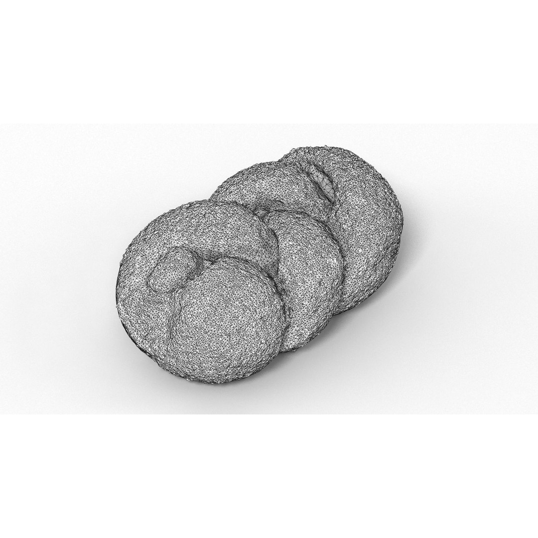 Bun Collection 3D Model – High Poly Bakery Asset, FBX & OBJ - View 16