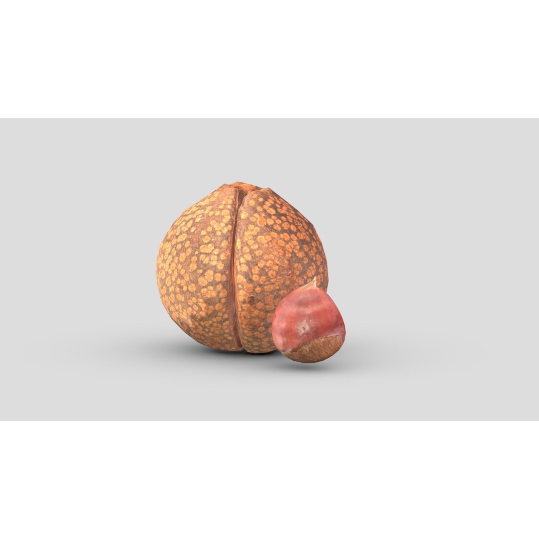 Chestnut 3D Model – Low Poly Game Asset, PBR Textures, FBX, OBJ - View 8