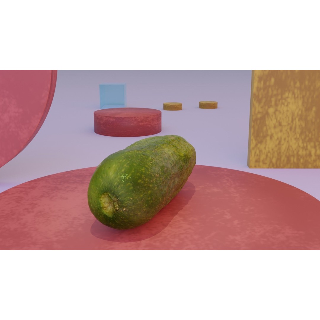 Cucumber 3D Model – Low Poly Photorealistic Vegetable, FBX, OBJ - View 10