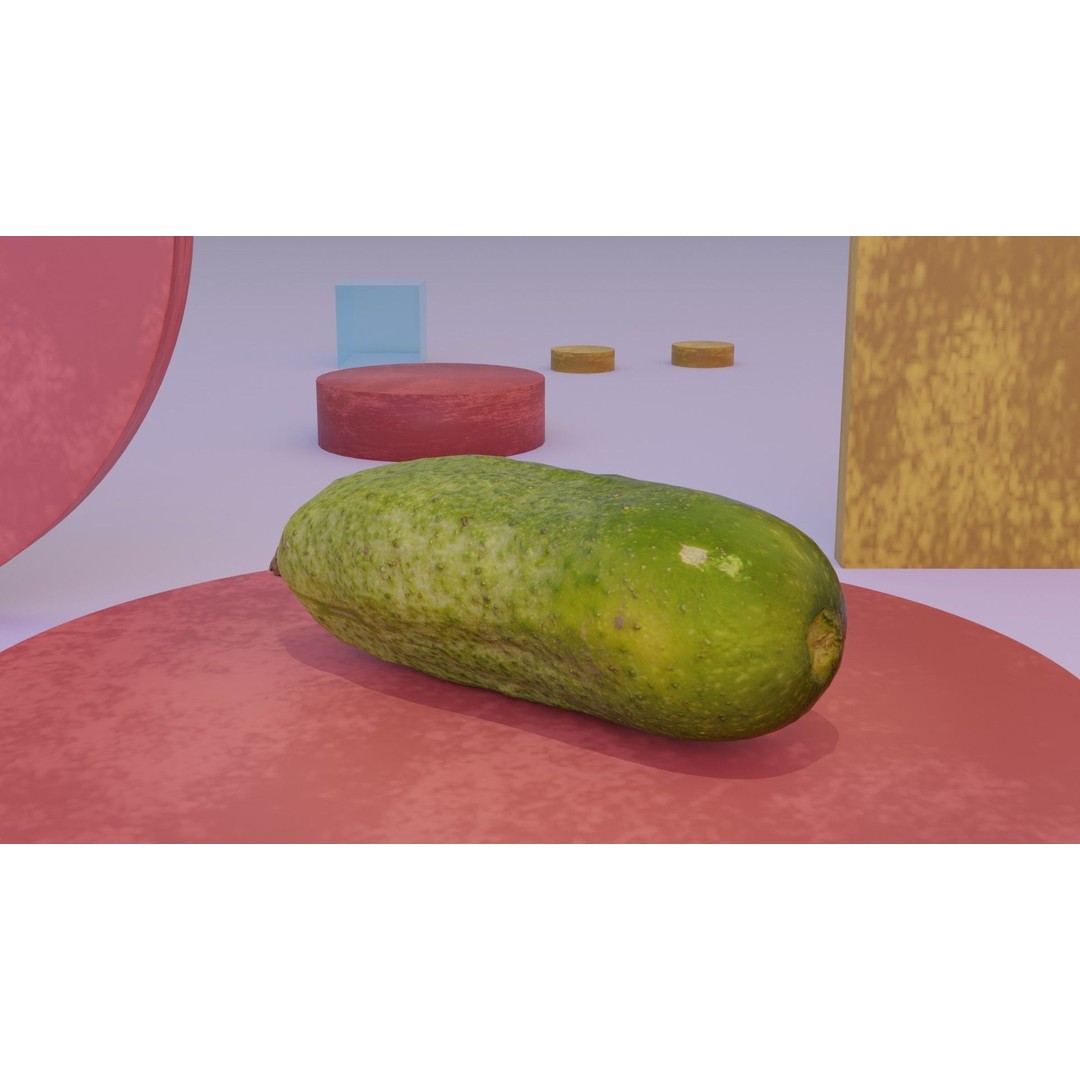 Cucumber 3D Model – Low Poly Photorealistic Vegetable, FBX, OBJ - View 12