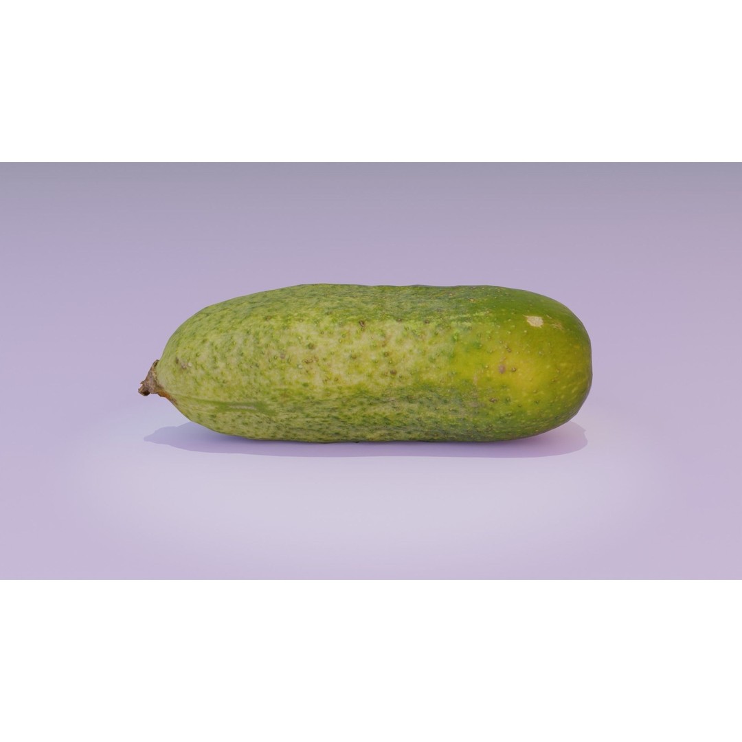 Cucumber 3D Model – Low Poly Photorealistic Vegetable, FBX, OBJ - View 13