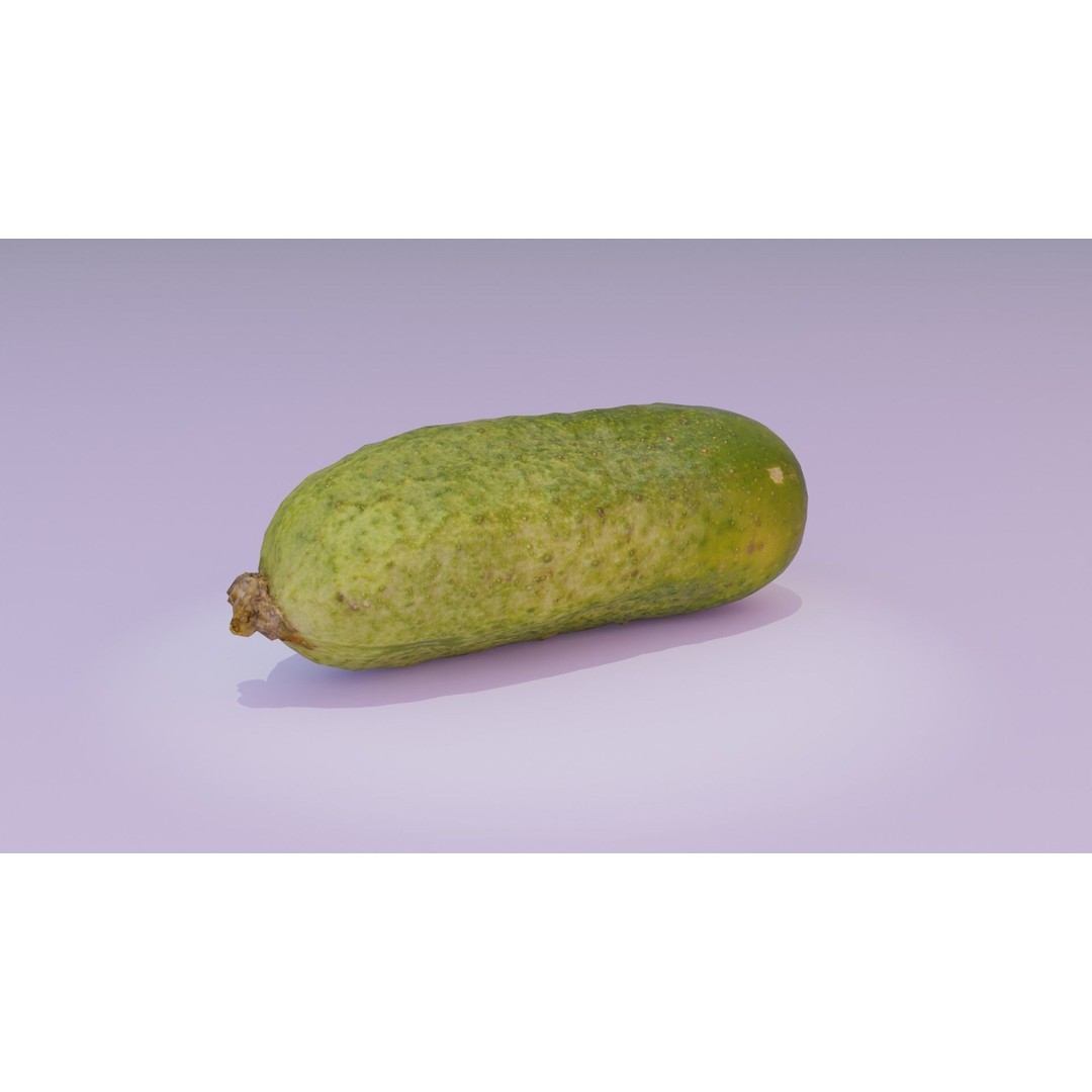 Cucumber 3D Model – Low Poly Photorealistic Vegetable, FBX, OBJ - View 14