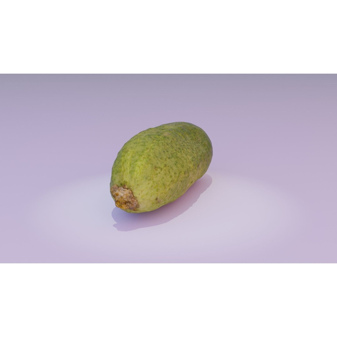 Cucumber 3D Model – Low Poly Photorealistic Vegetable, FBX, OBJ - View 15