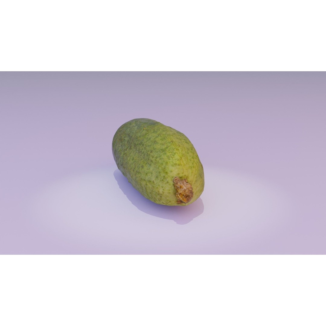 Cucumber 3D Model – Low Poly Photorealistic Vegetable, FBX, OBJ - View 16