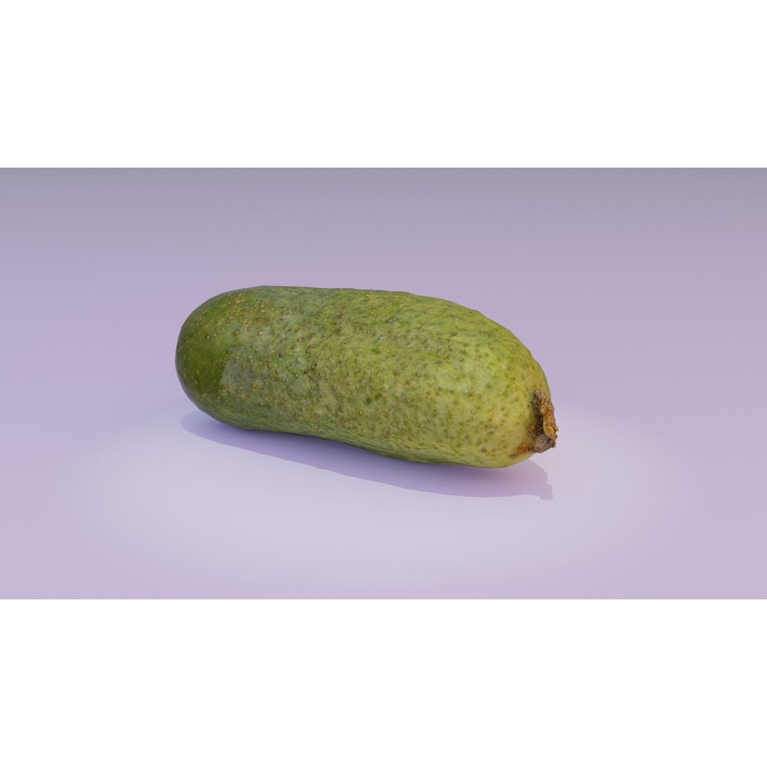 Cucumber 3D Model – Low Poly Photorealistic Vegetable, FBX, OBJ - View 17