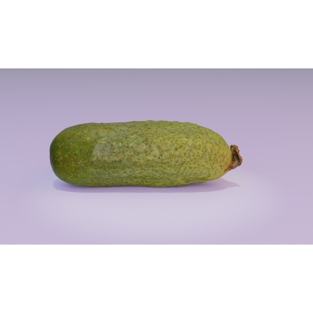 Cucumber 3D Model – Low Poly Photorealistic Vegetable, FBX, OBJ - View 18