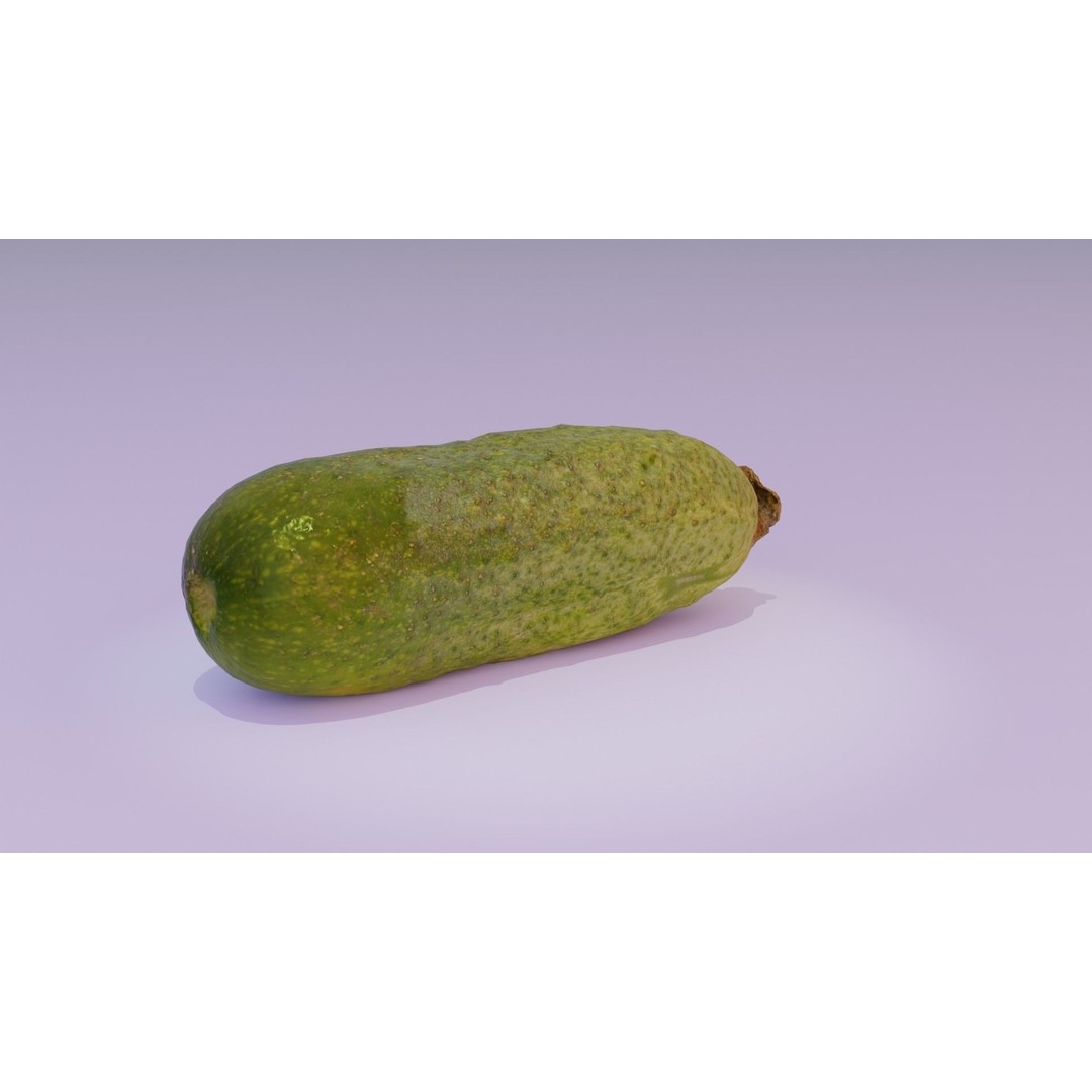 Cucumber 3D Model – Low Poly Photorealistic Vegetable, FBX, OBJ - View 19