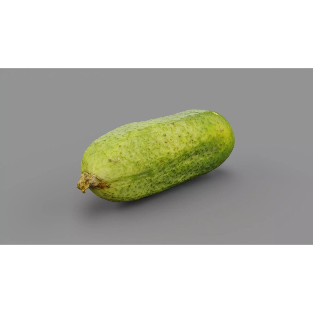 Cucumber 3D Model – Low Poly Photorealistic Vegetable, FBX, OBJ - View 2