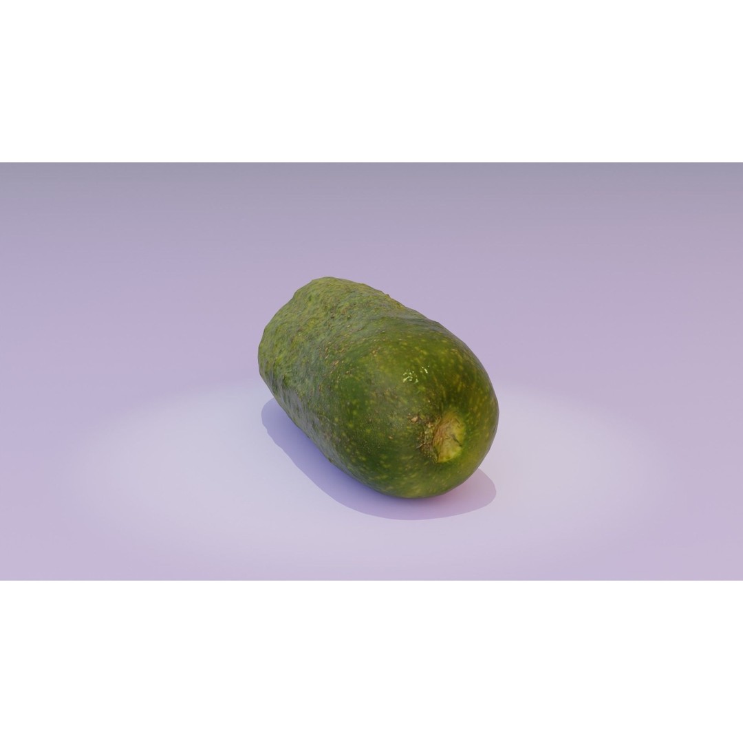 Cucumber 3D Model – Low Poly Photorealistic Vegetable, FBX, OBJ - View 21