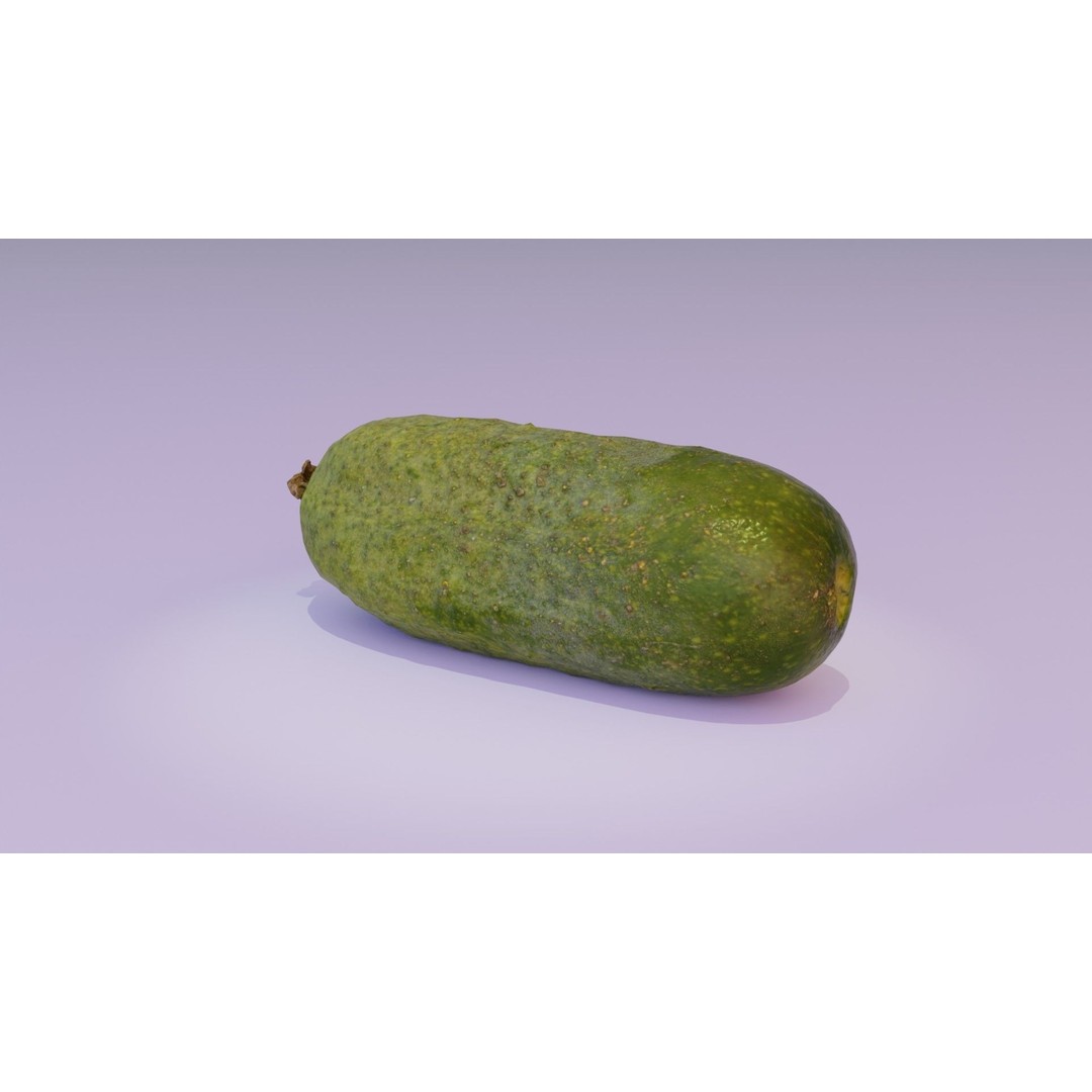 Cucumber 3D Model – Low Poly Photorealistic Vegetable, FBX, OBJ - View 22