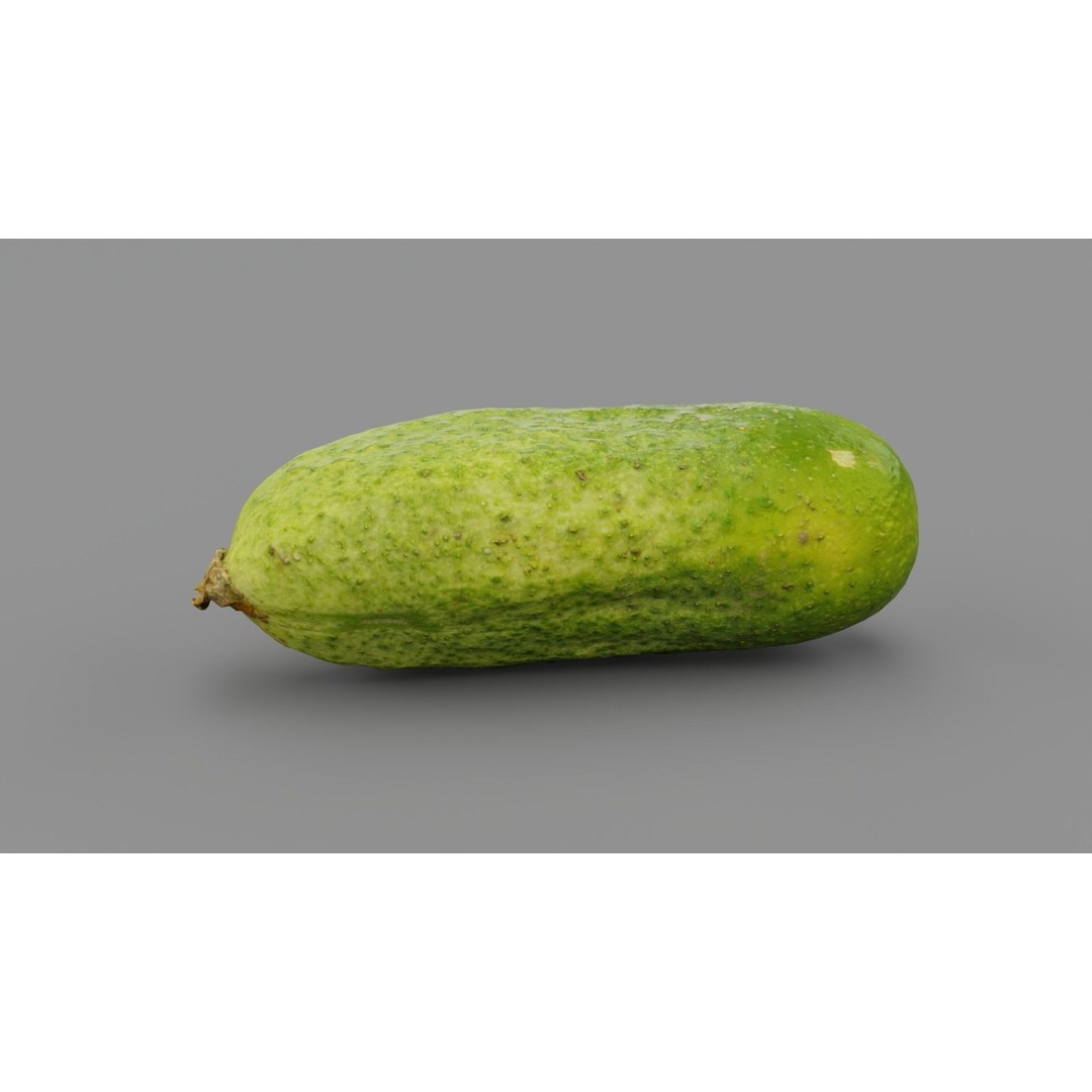 Cucumber 3D Model – Low Poly Photorealistic Vegetable, FBX, OBJ - View 23