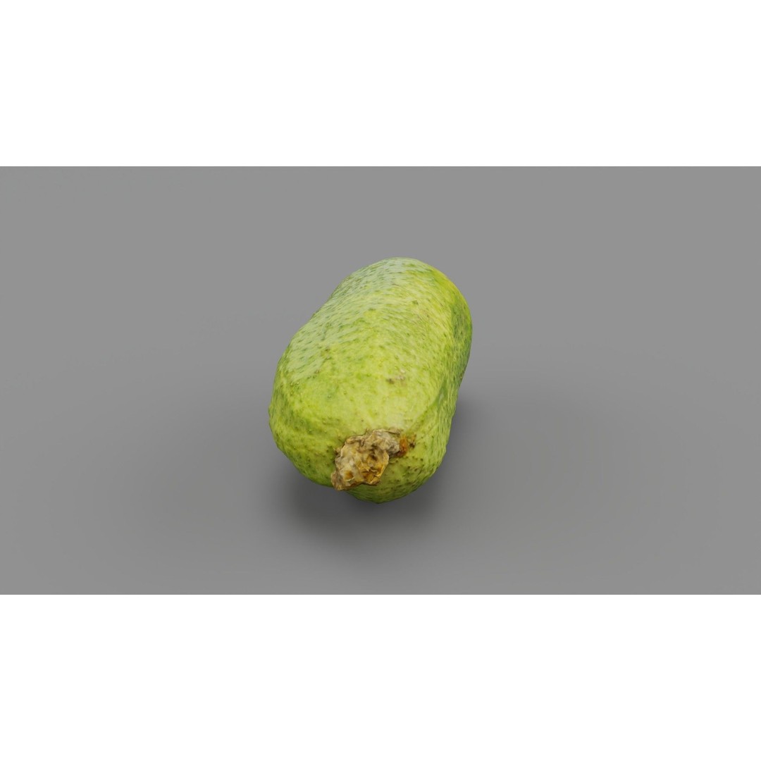 Cucumber 3D Model – Low Poly Photorealistic Vegetable, FBX, OBJ - View 24