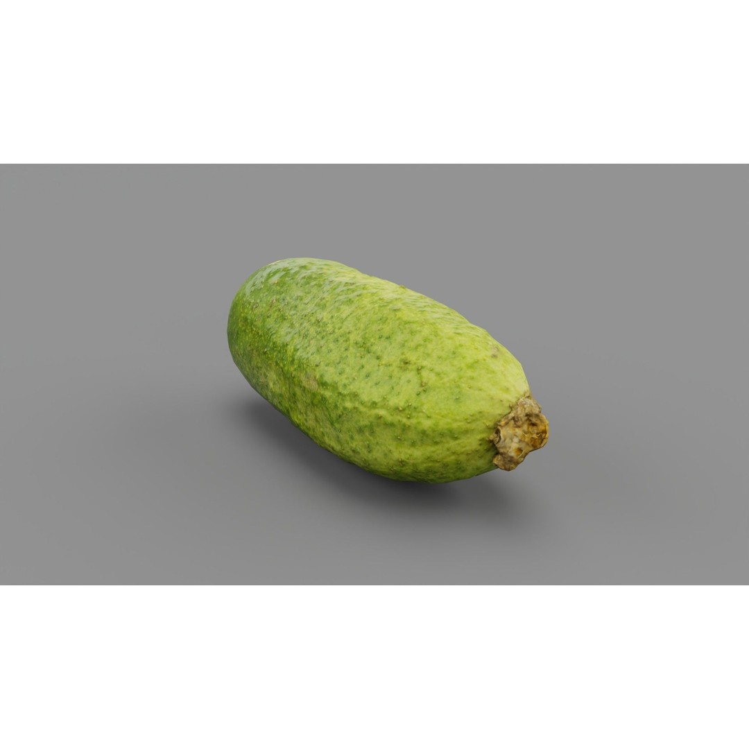 Cucumber 3D Model – Low Poly Photorealistic Vegetable, FBX, OBJ - View 25