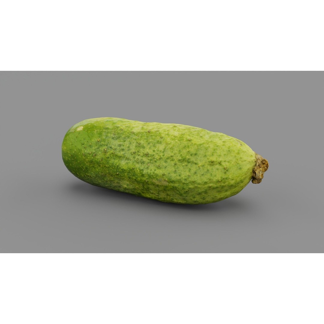 Cucumber 3D Model – Low Poly Photorealistic Vegetable, FBX, OBJ - View 26