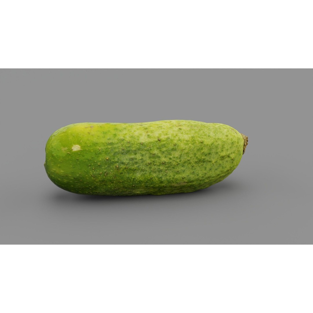 Cucumber 3D Model – Low Poly Photorealistic Vegetable, FBX, OBJ - View 27