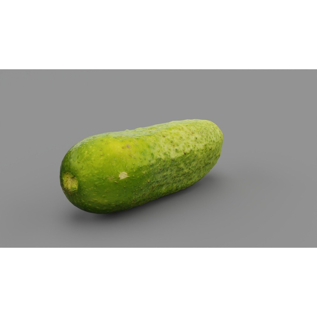 Cucumber 3D Model – Low Poly Photorealistic Vegetable, FBX, OBJ - View 28